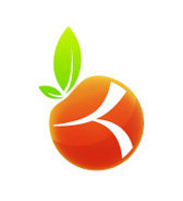 Majeure Digitale ISEG - M2